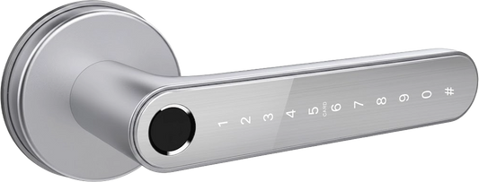 Smart Door Handle