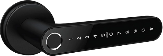 Smart Door Handle