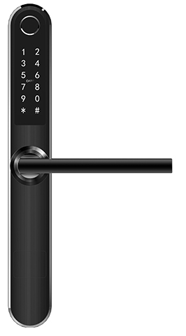 Smart Door Handle Replacement